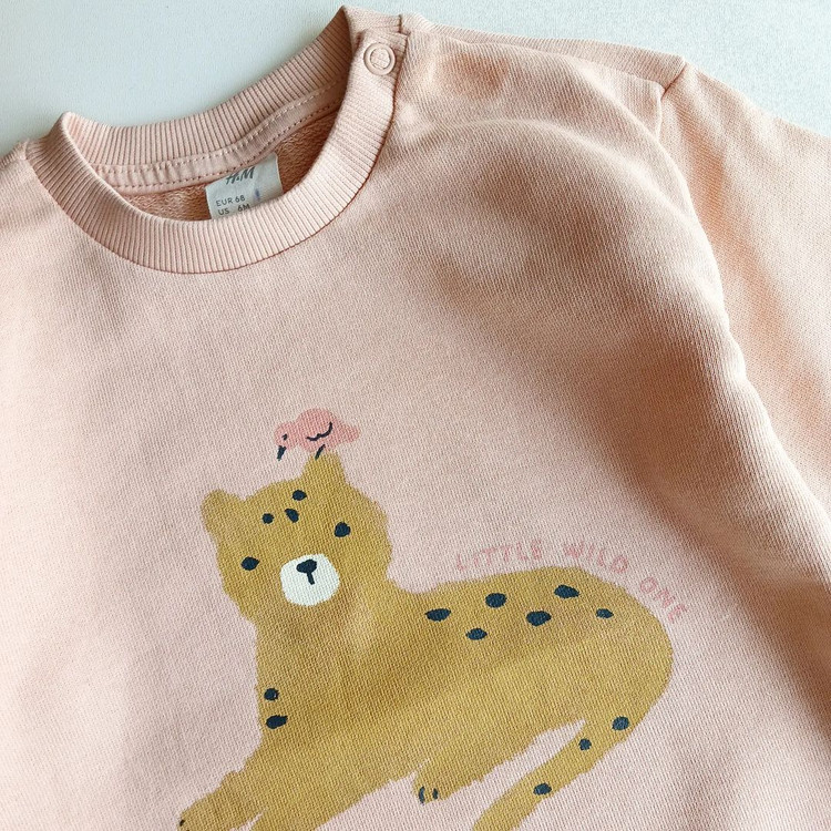 دورس اچ اند ام