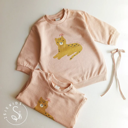 دورس اچ اند ام